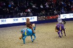 Quadrille - 00471